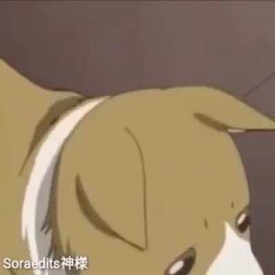 orochinho - Video #6550