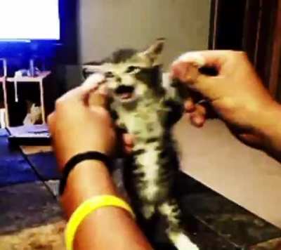 Wiggly little dance
