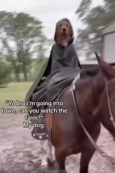 💀