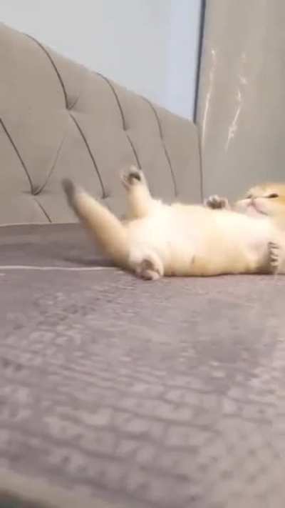 Awww😍