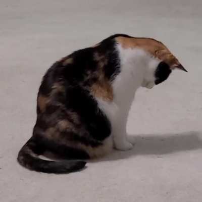 This is truly an interesting shadow...