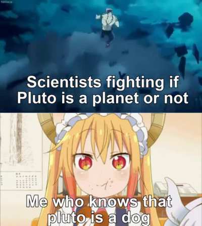 Everyone is fool except me