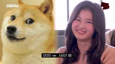 201029 Sana doggo