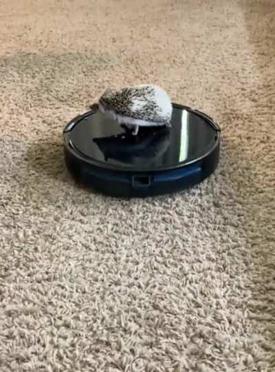 Don’t worry Mom, I help!