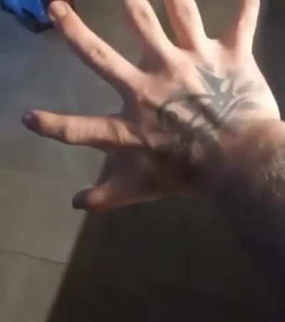 What Amygdala sees just before taking you to the nightmare.
