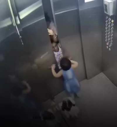 Young Girl Saves Toddlers from Closing Elevator Doors in Delhi