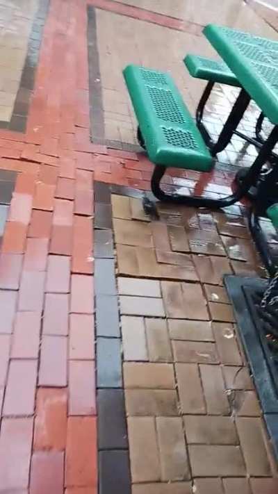 Free Bird Glitch in Ohio