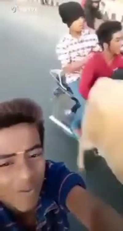 bonk