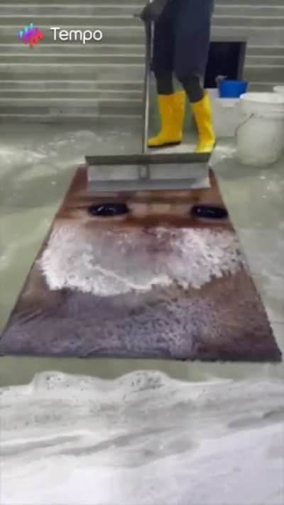 Big poo my love