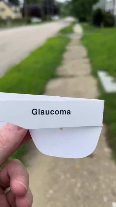 how people with different types of visual impairment see the world