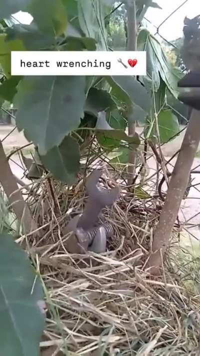 Nature is so beautiful.