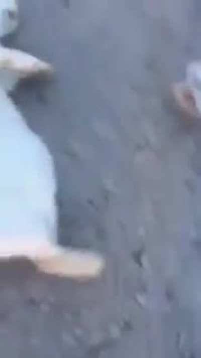 Caution:-Watch Till The End.....Made Me Cry