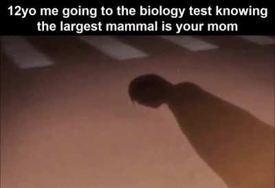 you know, I'm something of a genius myself