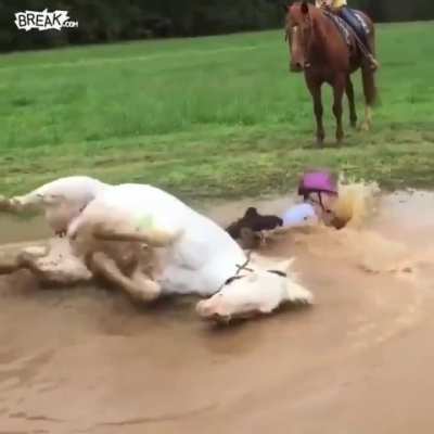 Thanks a lot HORSE.