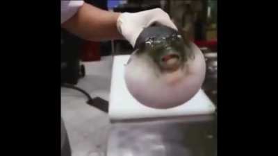:'v