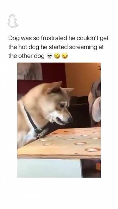 Something I found on snapchat