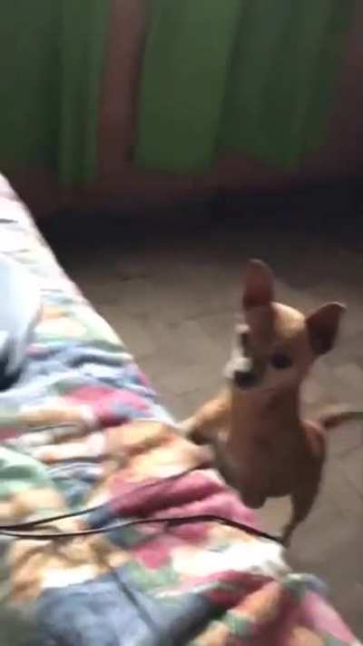 Gerador de Partículas