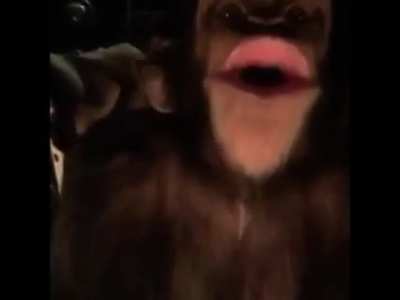 monke scream