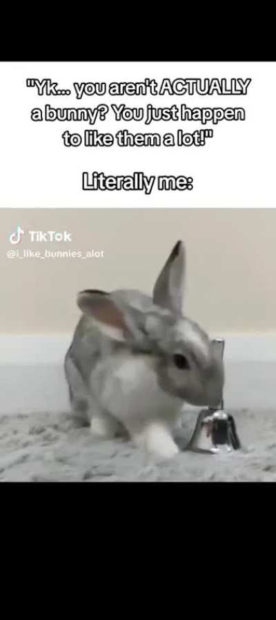 This is literally me