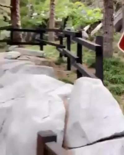 Watchout from the rocks