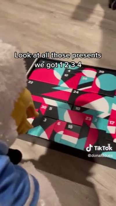 donaldducc moment