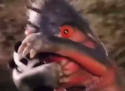 O7
