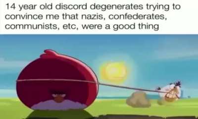 Birb