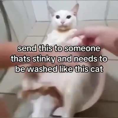 you stinky