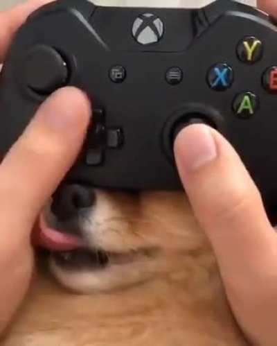Novo botão no controle do Xbox