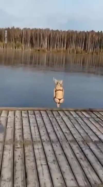 Д - дура