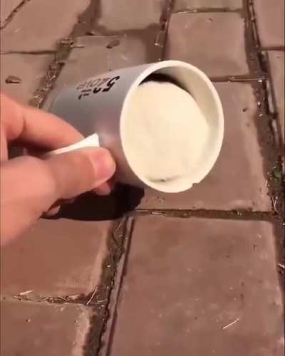 Nice drink you got there