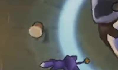 Poor kittie