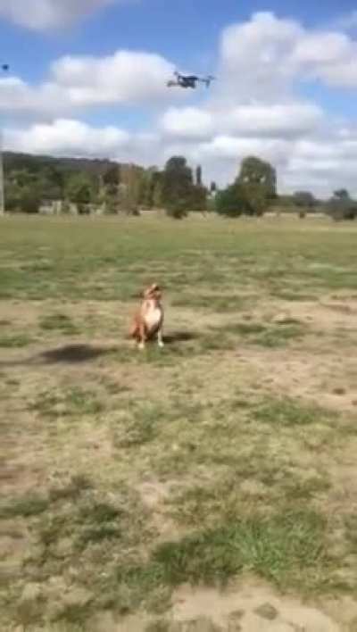 Incoming