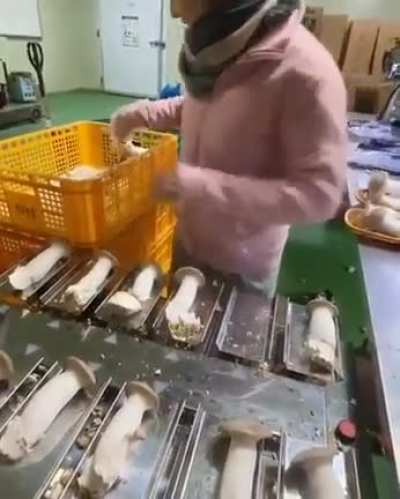 Scale used for packing the right amount