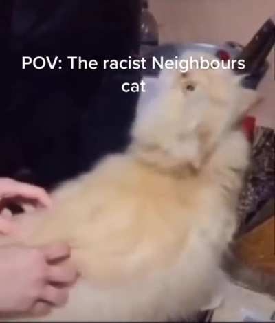 Based