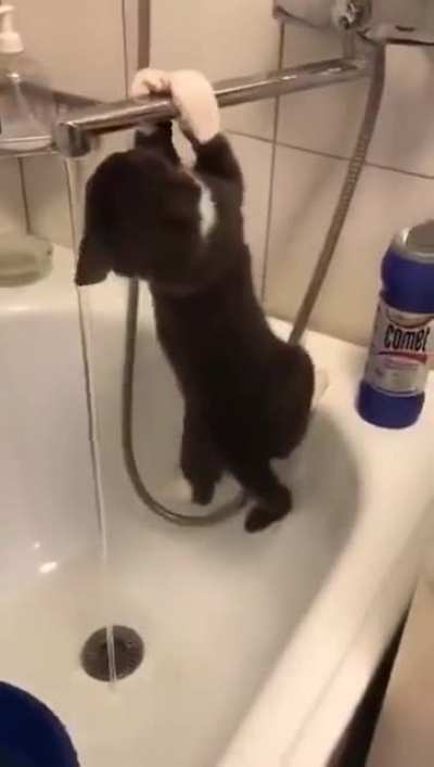 Ща пизда<wbr>нётся<wbr>, я снимаю нахуй
