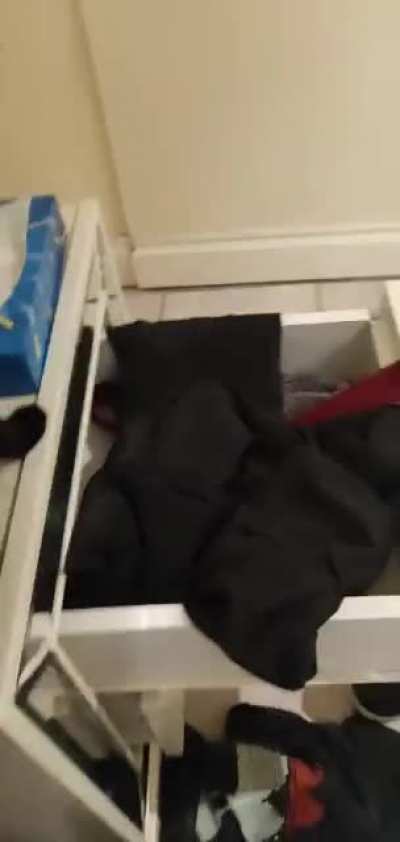 Snatching the cat