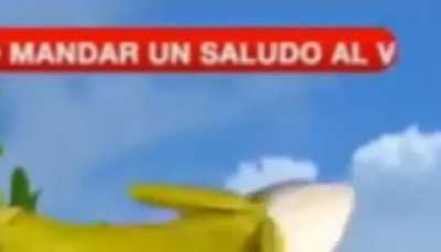XD