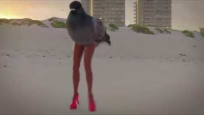 Blursed pigeon