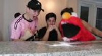 Elmo hard life
