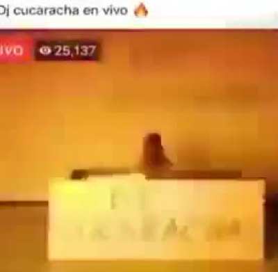DJ 🔥🔥 moldo