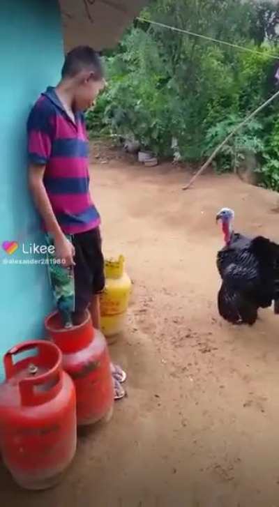 glu
