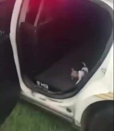K-9 unit