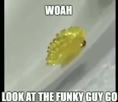funky rule
