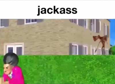 Day 38 of meme