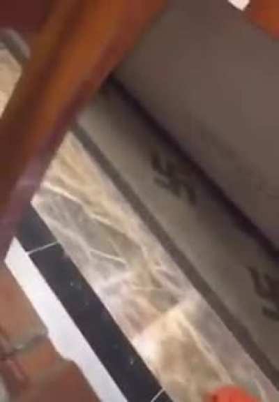 shitposting - Video #1619