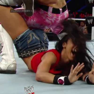 AJ Lee: Survivor Series '13