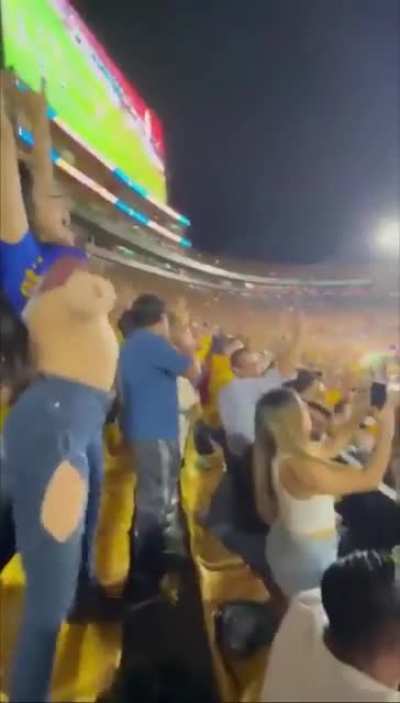 Soccer fans celebrate victory