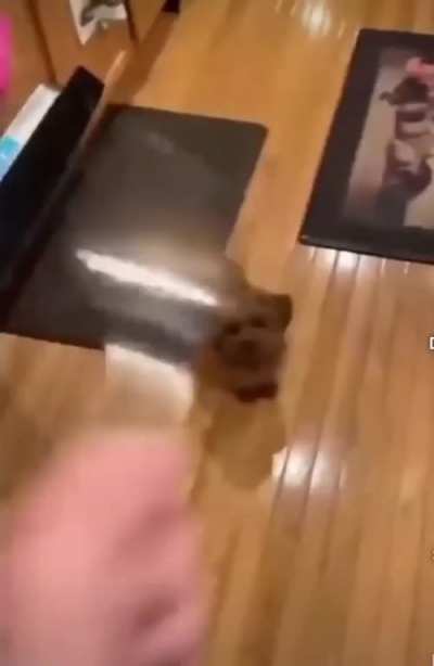 PTSD