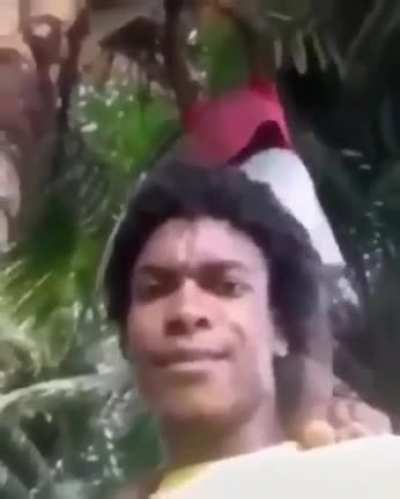 coco nut